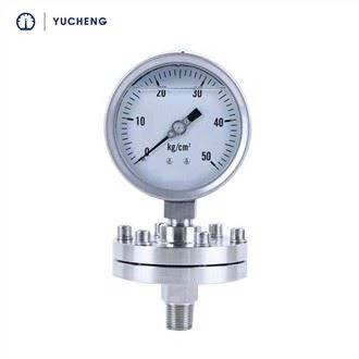 Stainless Steel Threaded Diaphragm Seal