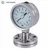 Pressure Gauge With Diaphragm Seal